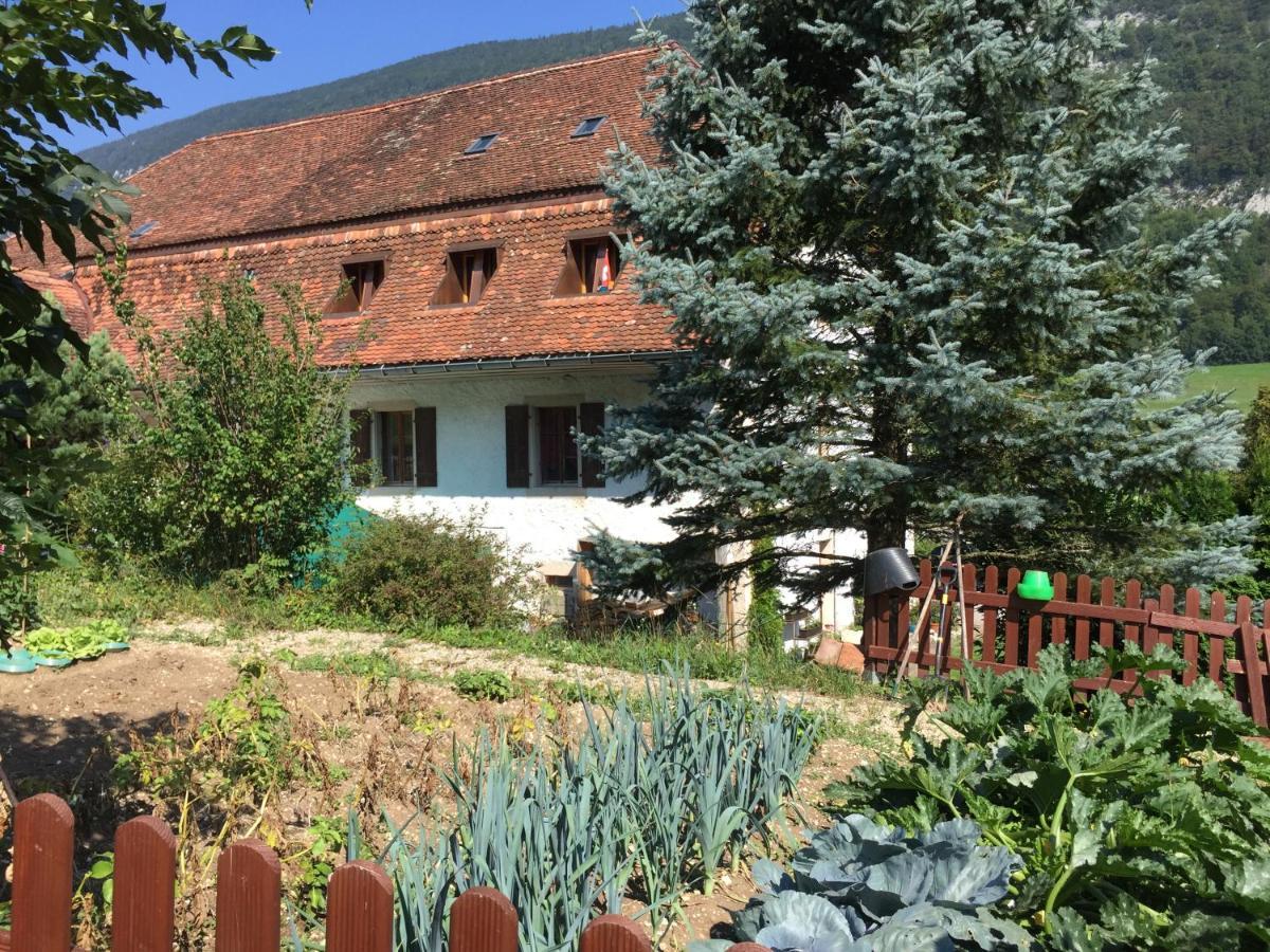 Chez Dodo 2534 Orvin Le Foncet Evilard Exterior foto