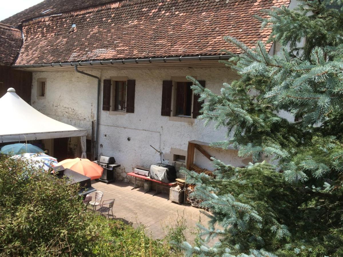 Chez Dodo 2534 Orvin Le Foncet Evilard Exterior foto